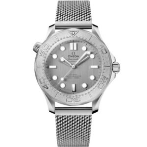 Omega Seamaster Diver 300M 42 mm 210.30.42.20.06.002