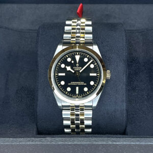 TUDOR Black Bay S&G 39mm M79663-0001 - Pre Owned